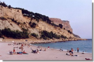 Cliquez sur l'image pour l'agrandir